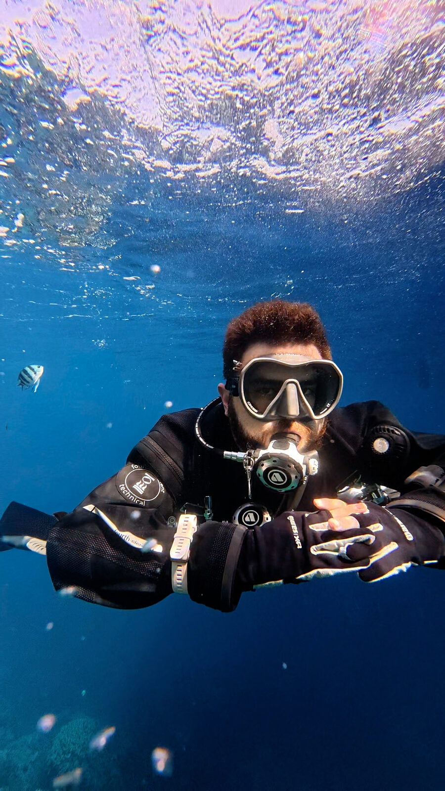 Underwater photograph from one of Ronny's dives