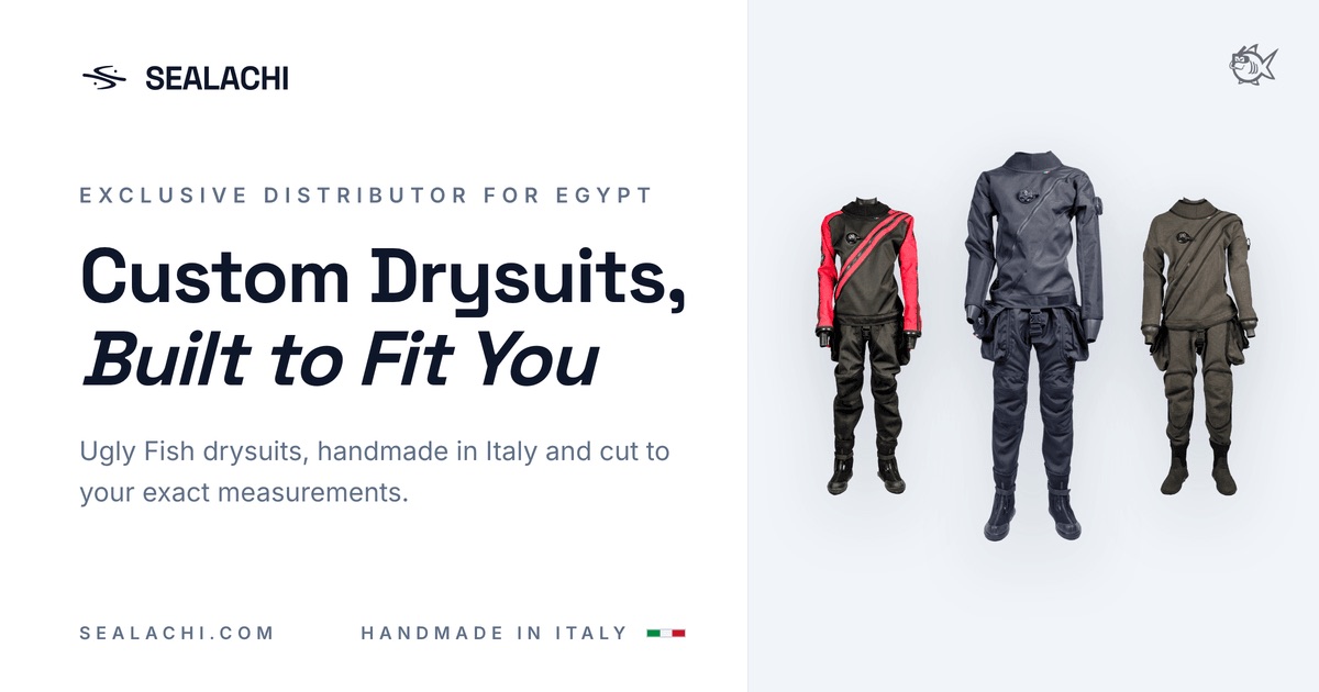 Sealachi product grid with editorial drysuit photography.